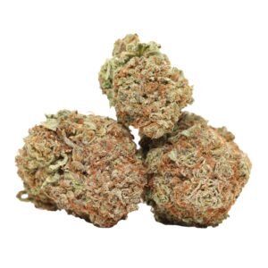 Order 9 Pound Hammer Indica Dominant Hybrid Weed Strain