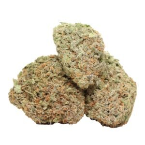 where to order Alaskan Thunder Fuck Sativa Dominant Hybrid Weed Strain