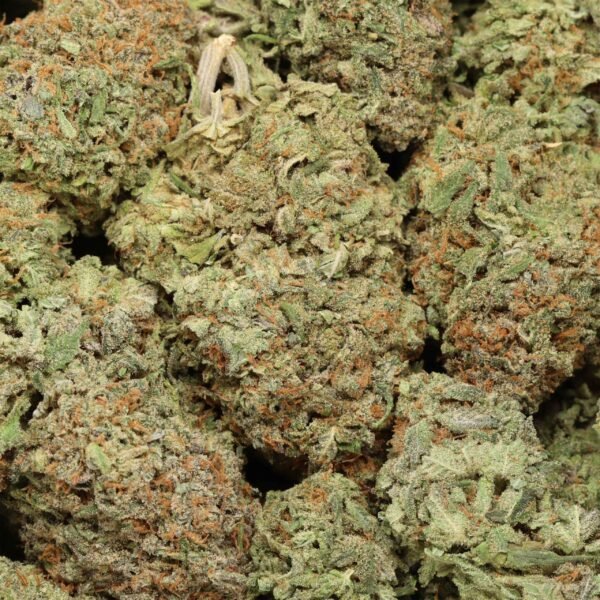 Alaskan Thunder Fuck - Image 3