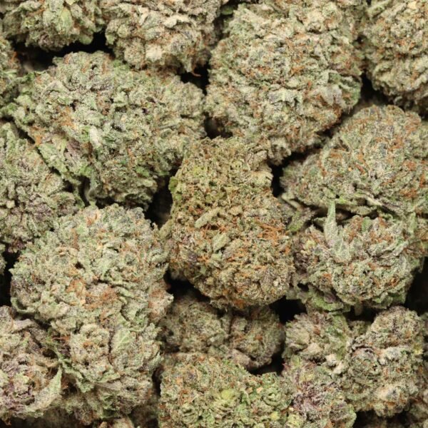 Black Cherry Soda - Image 3