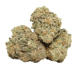 order God’s Green Crack weed strain best online dispensary USA