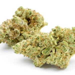 Jungle Cake Strain