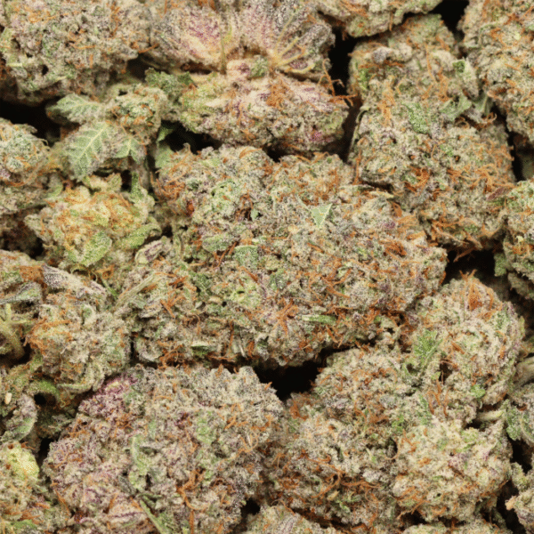 Purple Banana Breath AAAA+ Indica Craft by Fore House - Image 2