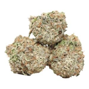 Buy AAAA Purple Banner Hybrid Strain online
