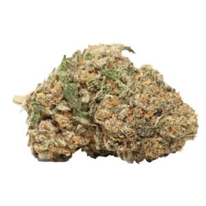 order Purple Kush weed strain best online dispensary USA