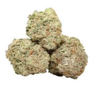 Buy Master Kush Strain Indica Dominant Hybrid AAAA Flower
