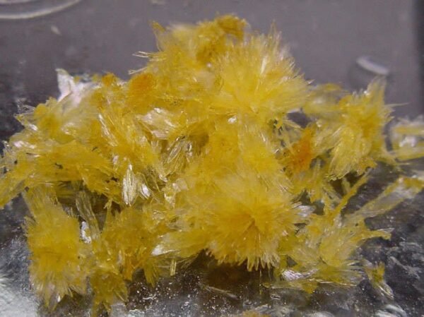 where to Buy N-Dimethyltryptamine DMT crystals online Dispensary