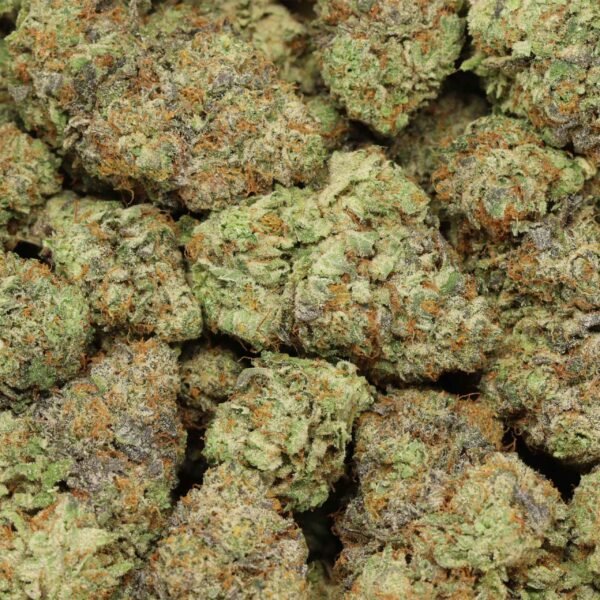 Ultimate Trainwreck - Image 3
