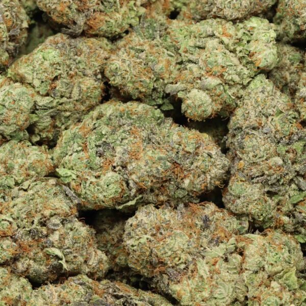 Tropicanna Banana - Image 2